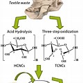 Cellulose Nanocrystals Acid Hydrolysis