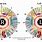 Chart to Iridology