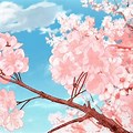 Cherry Blossom GIF Anime PFP