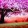 Cherry Blossom Tree Art Wallpaper