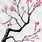 Cherry Tree Branch Drawing