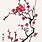 Chinese Cherry Blossom Art