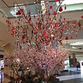 Chinese New Year Cherry Blossom Tree