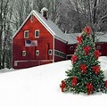 Christmas Tree Barn Snow Scene