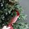 Christmas Trees with Ribbon Garland