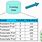 Classification of Data Mining