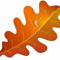 Clip Art Free Images Oak Leaf