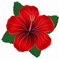 Clip Art Transparent Background Red Flower