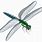 Clip Art of Dragonfly