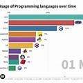 Coding Language Usage Details