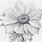 Cool Flower Drawings Pencil