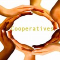 Cooperative