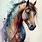 Color Horse Paintings