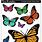 Colored Butterfly Printable