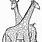 Coloring Page of a Giraffe