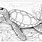 Coloring Pages of Sea Turtles