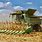 Combine Harvesting Corn