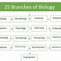 Complete List of the Branches of Biology