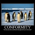 Conformity Bias Meme