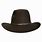 Crushable Cowboy Hat