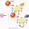 DNA Dehydration Synthesis