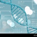 DNA Strands Biochemistry