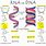 DNA and RNA Model