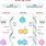 DNA and RNA Comparison