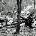 Dag Hammarskjold Plane Crash