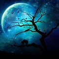 Dark Blue Moon Sky Wallpaper