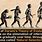 Darwinian Theory of Evolution