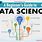 Data Science Intro Image