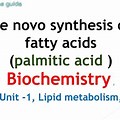 De Novo Synthesis of Palmitic Acid