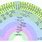 Descendant Fan Chart