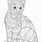 Detailed Cat Coloring Pages