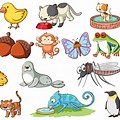 Different Kinds of Animals Clip Art