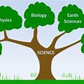 Different Types of Science Branches