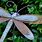 Dragonfly Garden Stake