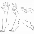 Drawing Anime Hands and Feet