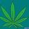 Drawing Marijuana Pot Leaf