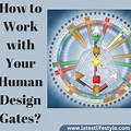 Dream Realm Gates Human Design