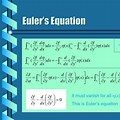 Euler Equation of Overlapping Model