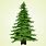 Evergreen Tree Vector