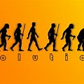 Evolution of Man Computer Wallpaper