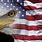 Eagle On American Flag