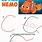 Easy Draw Nemo