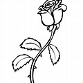 Easy Line Drawings Rose