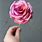 Easy Paper Rose Template