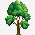 Elm Tree Clip Art