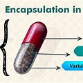 Encapsulation Computer Programming